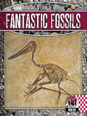cover image of Fantastic Fossils